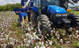 Colheitadeira móvel de algodão é testada para beneficiar agricultores familiares do Brasil