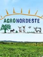 A pecuária e o abastecimento do Nordeste têm novos recursos para financiamentos