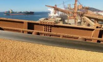 Crescem as exportações do Brasil para o mercado árabe