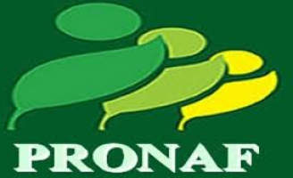 Veja a relação dos produtos agrícolas que terão bônus este mês