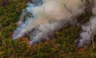 Tecnologia via satélite pode ajudar o produtor rural na recuperação do solo