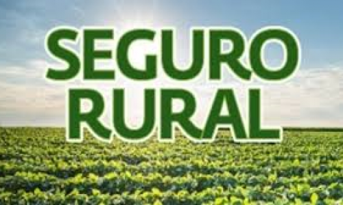 <h2><a href="https://nordesterural.com.br/regioes-norte-e-nordeste-sao-beneficiadas-com-a-liberacao-r-50-milhoes-de-subvencao-para-seguro-rural/">Regi&otilde;es Norte e Nordeste s&atilde;o beneficiadas com a libera&ccedil;&atilde;o R$ 50 milh&otilde;es de subven&ccedil;&atilde;o para seguro rural</a></h2>Produtores de gr&atilde;os das regi&otilde;es Norte e Nordeste poder&atilde;o acessar, at&eacute; outubro, o or&ccedil;amento exclusivo de R$ 50 milh&otilde;es no Programa de Subven&ccedil;&atilde;o ao Pr&ecirc;mio do Seguro Rural (PSR). "Essa