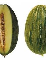 Primeiro lote de frutas frescas brasileiras chega ao mercado chinês