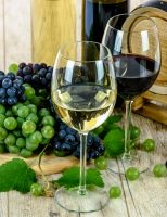 Vinhos podem ser consumidos perfeitamente em regiões quentes
