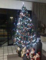 Luzes do Natal onde você estiver, participe!