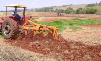 Como preparar o solo para cultivo de grãos no semiárido