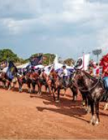 São Paulo vive a 42ª Exposição Nacional do Cavalo Mangalarga