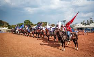 São Paulo vive a 42ª Exposição Nacional do Cavalo Mangalarga