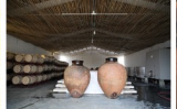 Uma tradição milenar na vitivinicultura: o vinho de talha