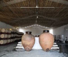 Uma tradição milenar na vitivinicultura: o vinho de talha Uma tradição milenar na vitivinicultura: o vinho de talha