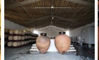Uma tradição milenar na vitivinicultura: o vinho de talha