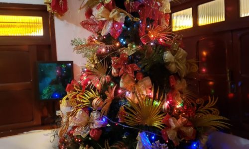 Luzes do Natal: participe! Mande a foto da sua decoração de Natal