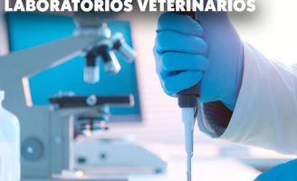 Definidas as regras para fiscalização de laboratórios veterinários