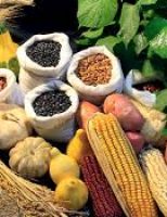 Brasileiros e chineses vão debater o futuro da agricultura sustentável