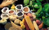 Brasileiros e chineses vão debater o futuro da agricultura sustentável