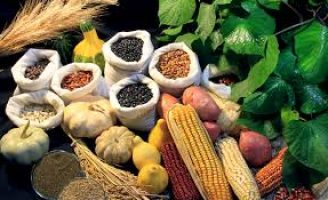 Oportunidade para os pequenos agricultores venderem seus produtos