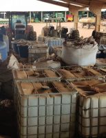 Agrotóxicos irregulares são incinerados