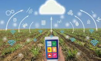 Serviços digitalizados ajudam ao produtor rural economizar