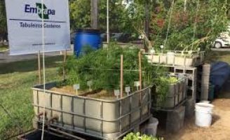 Novos métodos de convivência com o meio ambiente melhoram a vida de agricultores no Alto Oeste do Rio Grande do Norte