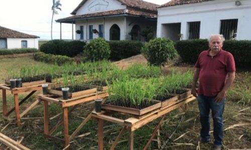 <h2><a href="https://nordesterural.com.br/produtor-de-cana-em-pernambuco-inova-na-utilizacao-de-mudas-para-aumentar-produtividade/">Produtor de cana em Pernambuco inova na utiliza&ccedil;&atilde;o de mudas para aumentar produtividade</a></h2> Cazuza, dono do engenho, com as mudas de cana

Ao inv&eacute;s de o agricultor investir em complexas tecnologias e altos custos no aumento da produtividade da cana em Pernambuco, o