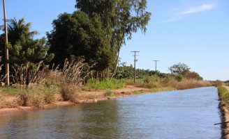 Oportunidade para quem quiser comprar lotes agrícolas em projeto de irrigação na Bahia