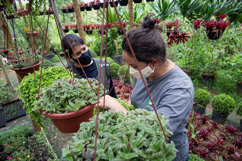 Interessados já podem se inscrever para o curso de gestão do agronegócio oferecido pelo  Senar-PE e Faculdade CNA