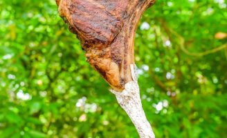 Receita – Paleta de Cordeiro assada no forno com molho de hortelã