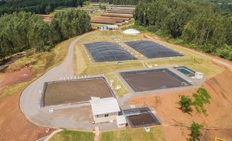 Dejetos suínos podem ser transformados em energia, fertilizante e água através de uma nova tecnologia