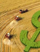 2021 será um ano especial para os índices do Valor Bruto de Produção Agropecuária