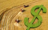 A alta nos custos de insumos é uma das principais preocupações dos produtores rurais brasileiros para a próxima safra