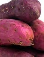 Uma semente de batata doce biofortificada chega ao mercado este mês