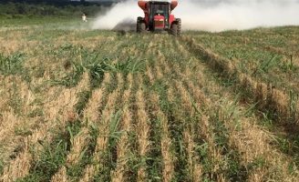 Agricultor deve usar o calcário para impulsionar a produtividade na fazenda