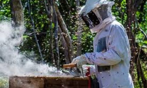Pernambuco recebeu R$ 350 milhões de investimentos da Codevasf em 2020