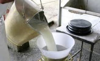 Técnicos do Programa Balde Cheio vão atender produtores rurais de todo o Brasil