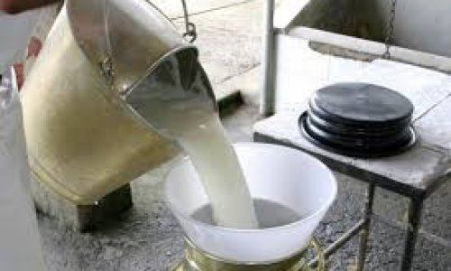 <h2><a href="https://nordesterural.com.br/tecnicos-do-programa-balde-cheio-vao-atender-produtores-rurais-de-todo-o-brasil/">T&eacute;cnicos do Programa Balde Cheio v&atilde;o atender produtores rurais de todo o Brasil</a></h2>&Eacute; a maior capacita&ccedil;&atilde;o j&aacute; realizada pela coordena&ccedil;&atilde;o do Programa Balde Cheio. De janeiro a junho deste ano, 104 t&eacute;cnicos da extens&atilde;o rural est&atilde;o participando de uma megacapacita&ccedil;&atilde;o do programa,