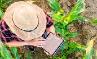 Semana da Agricultura Tropical reúne especialistas de todo o mundo
