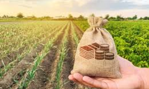 Dinheiro novo para o produtor rural: É o crédito para custeio antecipado