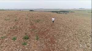 Falta de chuva também prejudica agricultores do sul do país