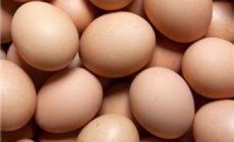 Orientações para o agricultor produzir melhor ovos caipiras