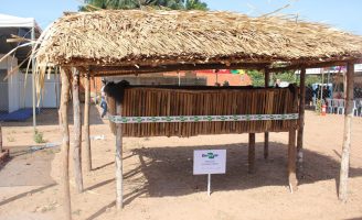 A importância de se ter um minhocário na pequena propriedade rural