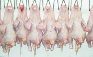 Aumentam as exportações brasileiras de carne de frango