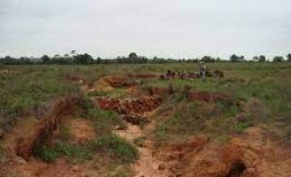 Como evitar a erosão do solo e controlar os efeitos para a agricultura