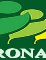 Saiu a relação de dez produtos da agricultura familiar com bônus em agosto