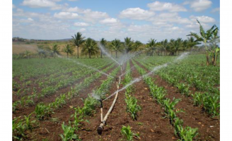 Uma análise para discutir como a agricultura vai se desenvolver depois da pandemia do covid 19