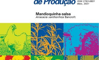 Para aprender tudo sobre o cultivo da mandioquinha-salsa