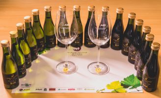 Especialistas vão escolher os melhores vinhos feitos no Brasil
