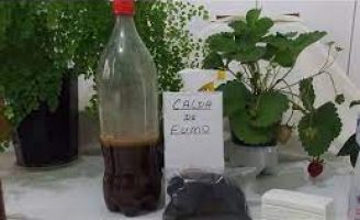 Uso de caldas naturais para combater pragas e doenças nas hortaliças