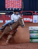 A importância de cuidar bem dos cavalos atletas