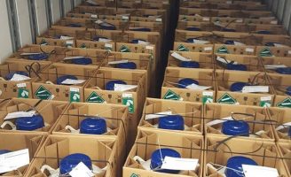 Um recorde de importação de genética bovina para atender o rebanho brasileiro