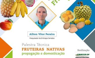 Uma “live” para orientar o agricultor a cultivar fruteiras nativas